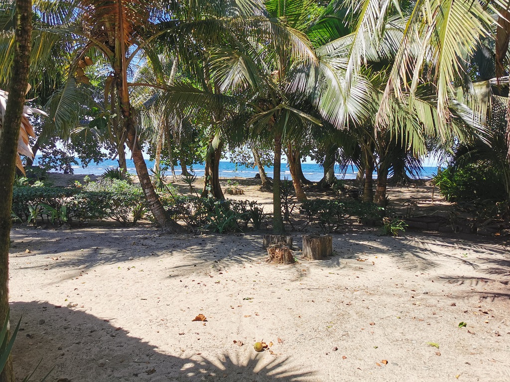 Blick von der Terrasse vom Yucca Beachfront Hotel