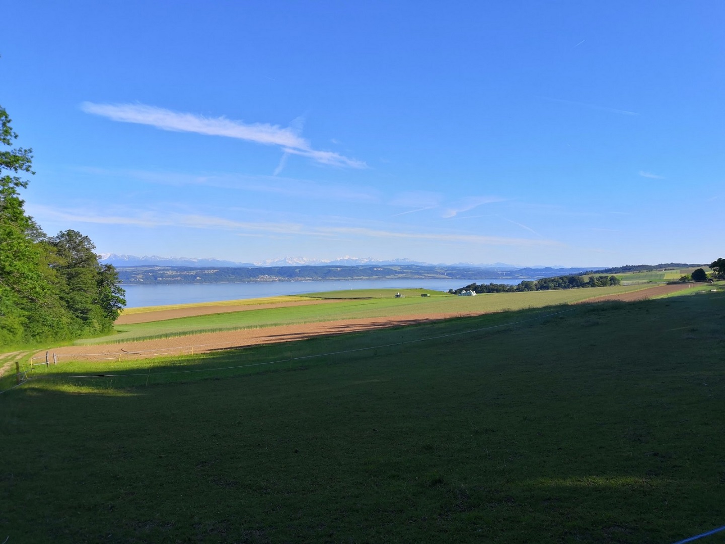 Sicht auf Neuenburgersee