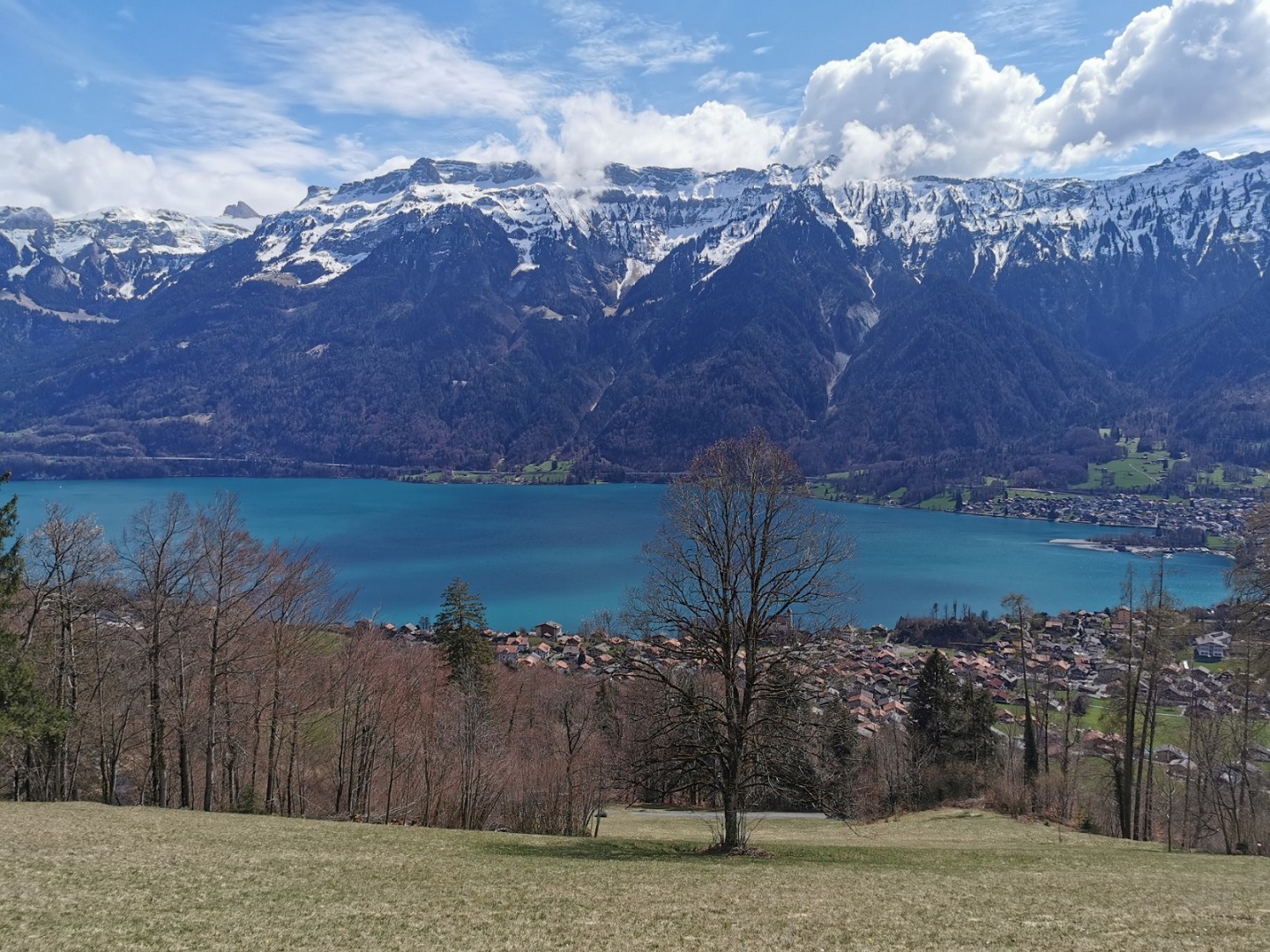 Blick auf Brienzersee