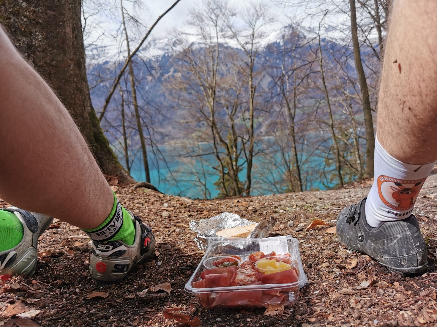 Verpflegungspause mit Sicht auf Brienzersee