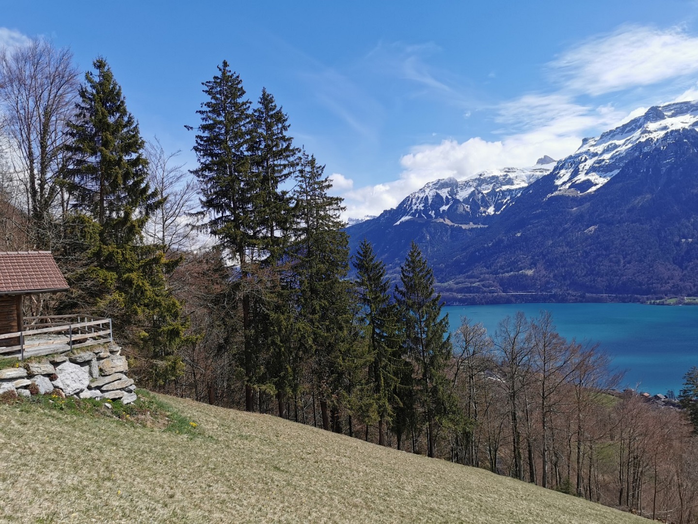 Sicht auf Brienzersee