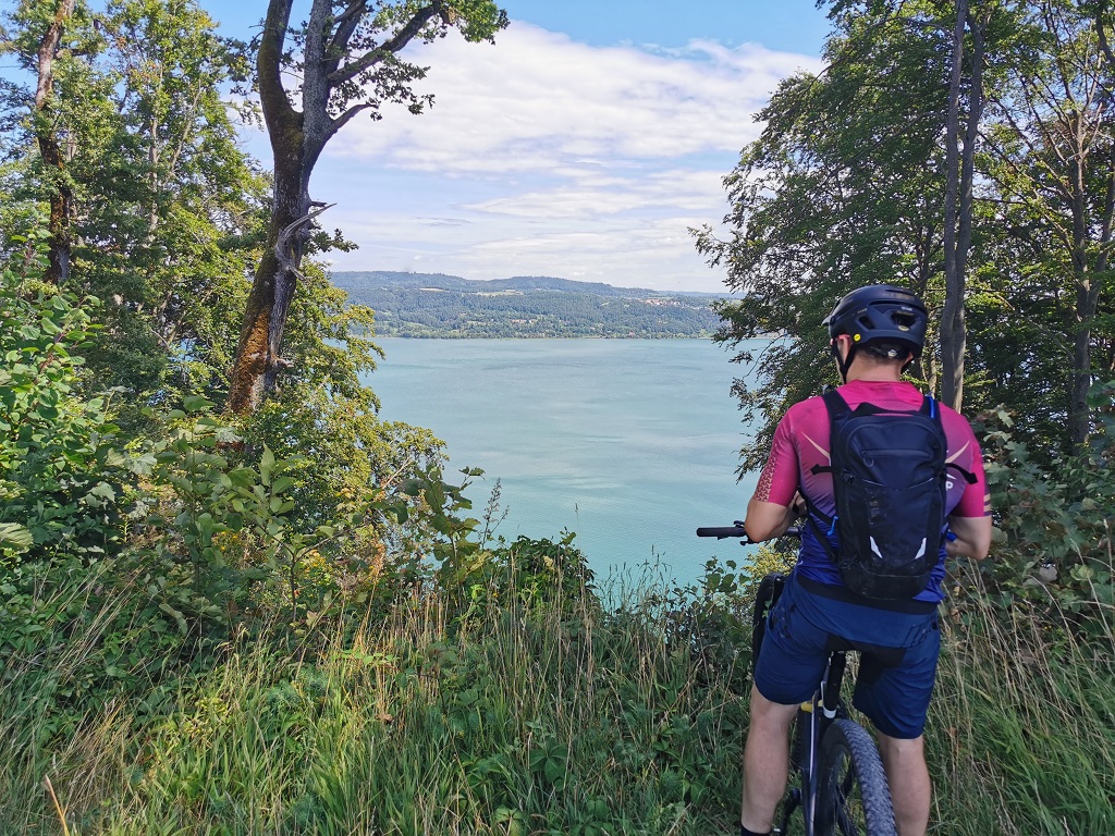 Blick über den Bodensee nach Deutschland