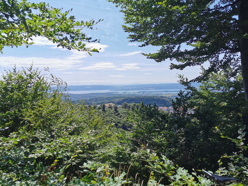 Sicht auf den Untersee