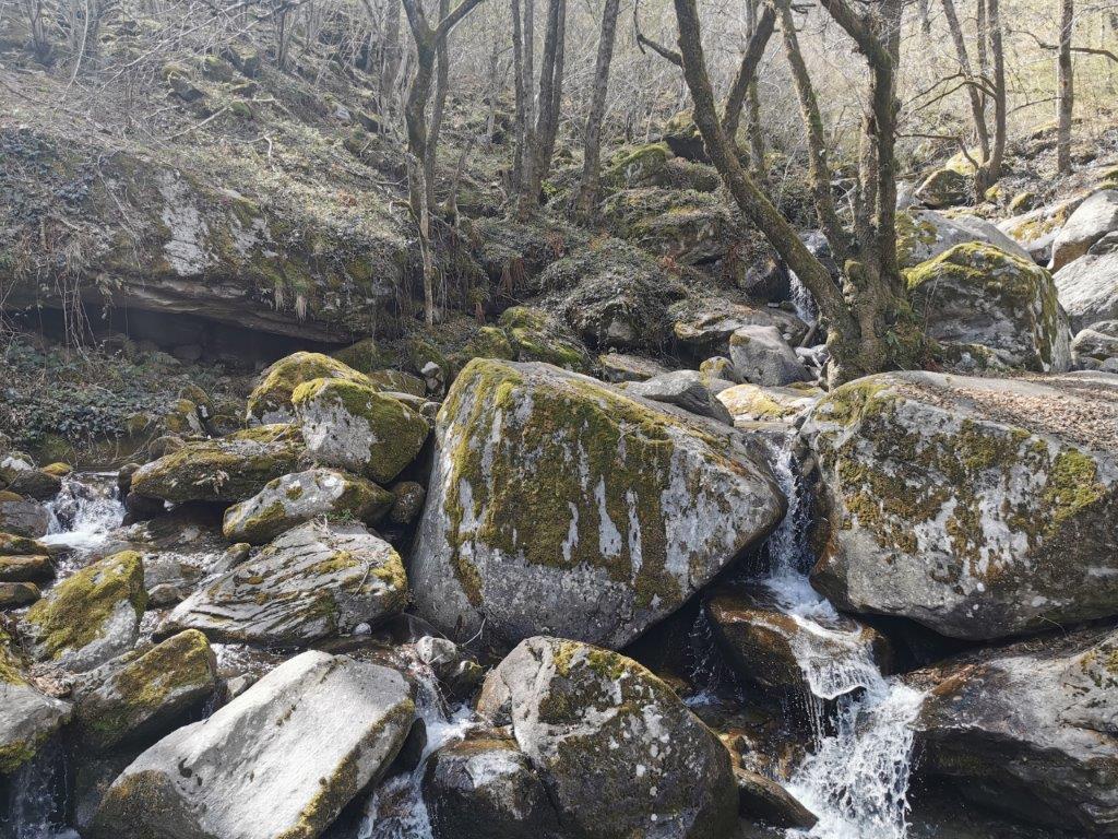 Maggia Streccia Trail