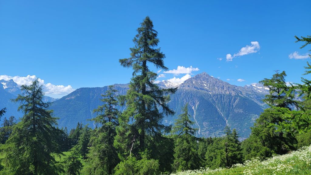 Sicht vom Col du Lein