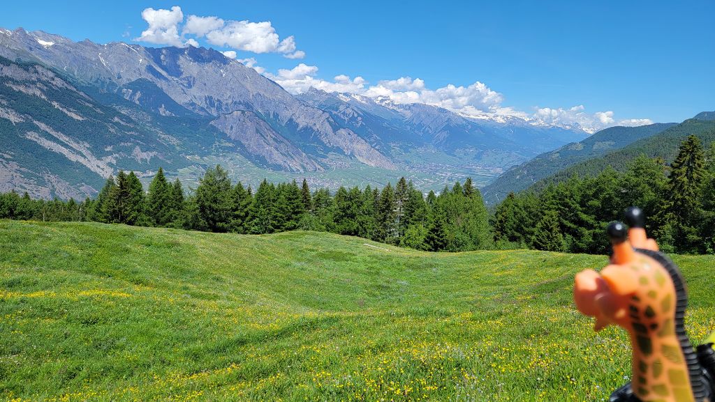 Col du Lein