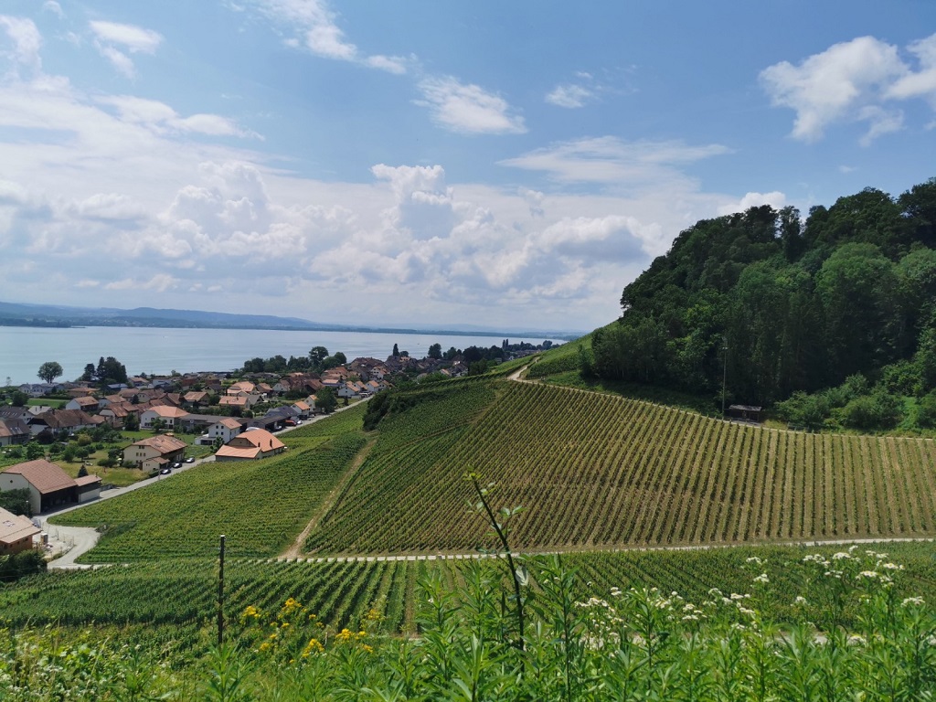 Sicht auf Murtensee