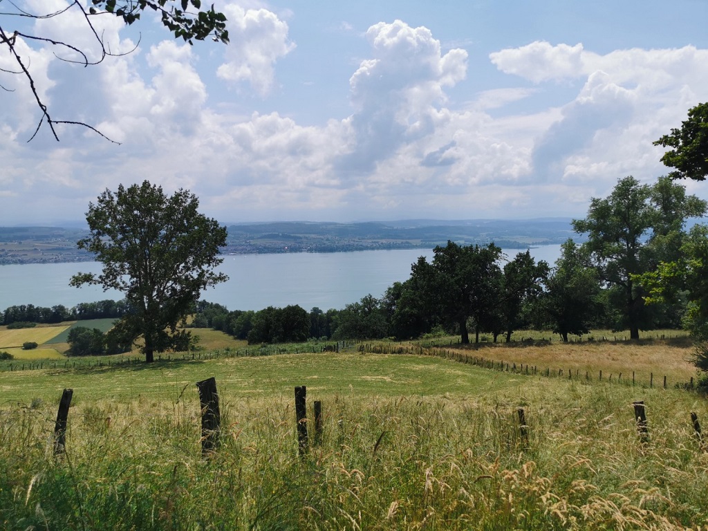 Sicht vom Mont Vully auf Murtensee