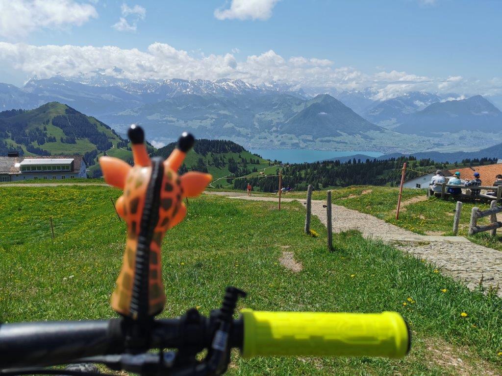 Blick von der Rigi