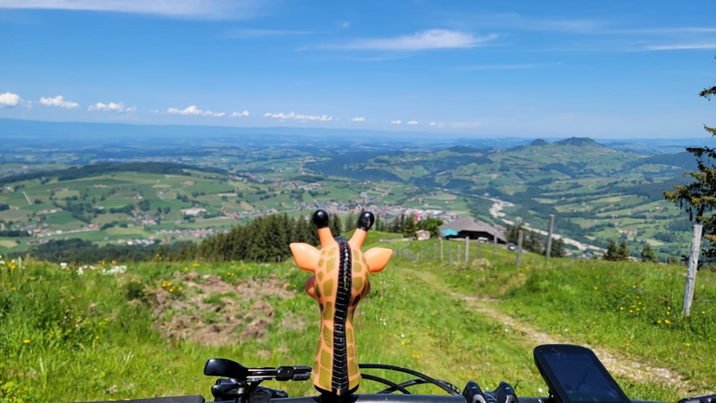 Aussicht von der Tour vom Schwyberg