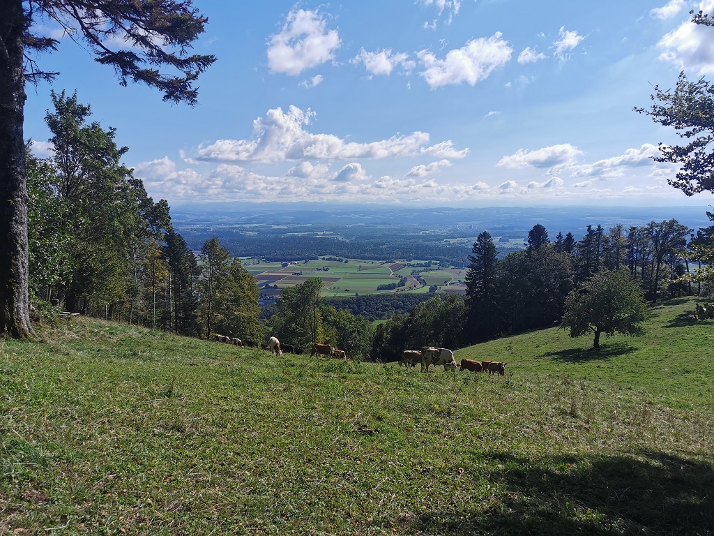 Sicht auf das Mittelland