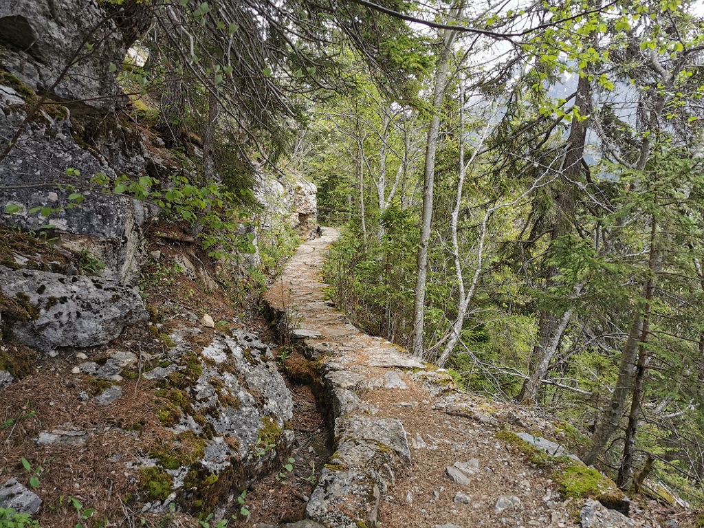 Bisse de la Tsandra