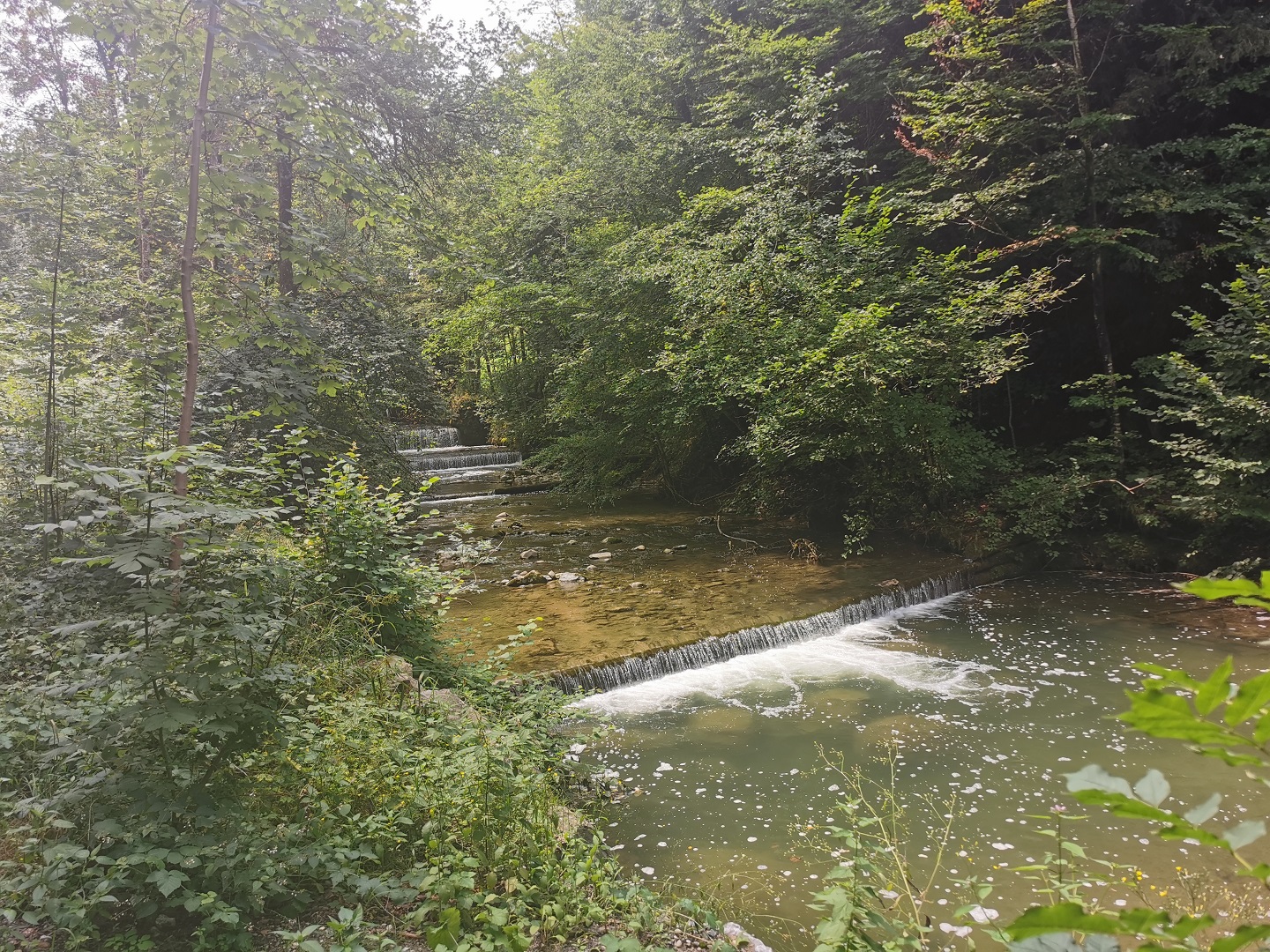 MTB Tour auf den Wildspitz  mit dem Zugerbergtrail